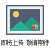 RBT锚杆无损检测仪
